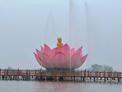 -白洋淀景区