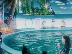 -尼莫海豚馆