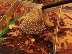 -重庆下半城老火锅(糖酒公司店)