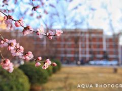 -首都师范大学(良乡校区)