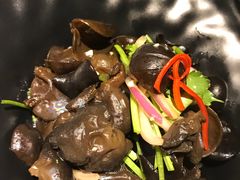 -探炉·香辣豆花烤鱼(雄峰城店)