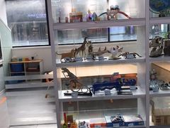 -斯坦星球AI编程·机器人科创·科学实验·信奥·思维·STEM·积木拼搭·竞赛考级(长宁虹桥大融城荟聚中心)