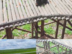 -黑瞎子岛探秘野熊园