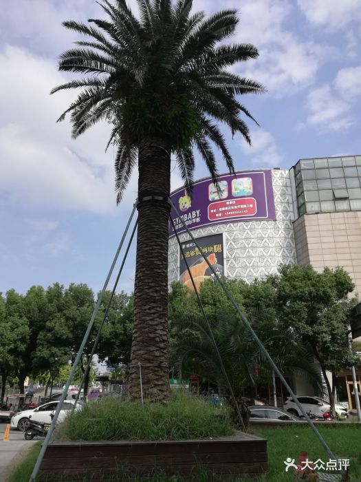 舜大财富广场-图片-余姚购物-大众点评网