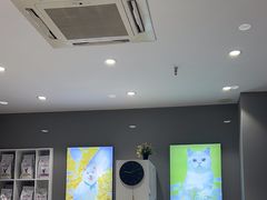 -关爱宠物医院·猫科中心·消化科(滨湖万达分院)