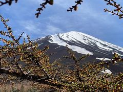 -富士山吉田線五合目