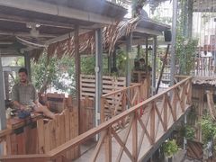 -Rainforest
