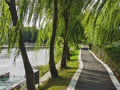 -长广溪湿地公园