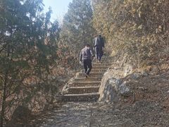 -府君山公园