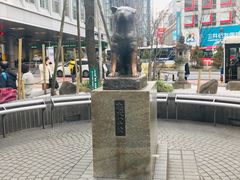-涩谷区