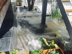 -羊门客在·烤盐池滩羊·川菜