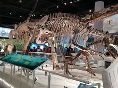 -国家自然博物馆