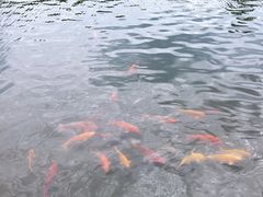 -白马涧龙池景区