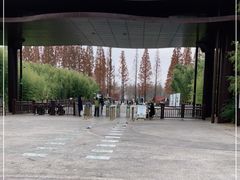 -黄海国家森林公园