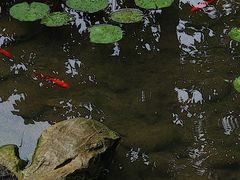 -中国茶叶博物馆(双峰馆区)