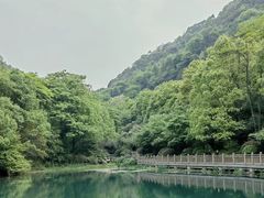 -桃花岭景区