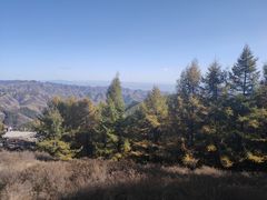 -苏木山森林公园