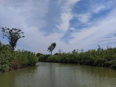 -泗洪洪泽湖湿地景区