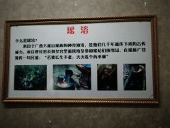 -威思丽高温瑜伽会馆