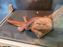 -酷嗒动物文化乐园(cutezoo西溪乐天城店)