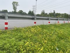 -桤木河湿地公园