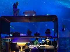 -上海海昌海洋公园