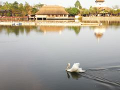 -清迈夜间动物园