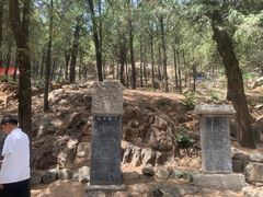 -泰山风景名胜区-普照寺