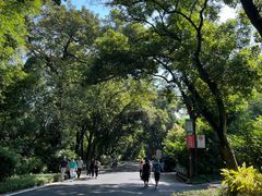 -广州市白云山风景名胜区
