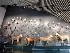 -中国湿地博物馆