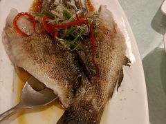 -梅龙镇酒家(南京西路总店)