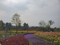 -天府芙蓉园