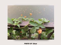-南浔古镇