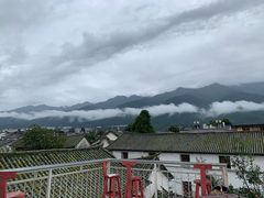 -喵屿·大理花园猫咖