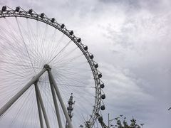-日照海滨国家森林公园