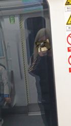 -DL HOPE明星造型