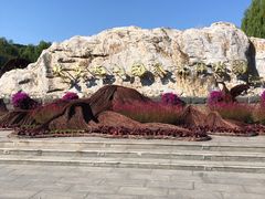 -北京西山国家森林公园