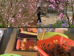 -正宗火盆自助烧烤·烤全羊·柴火鸡(龙泉山店)