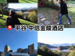 -北京中信金陵酒店