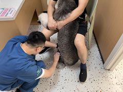 -瑞派康怡24h宠物医院·犬猫医疗中心·微创绝育(瑞景分院)