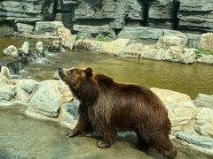 -北京野生动物园