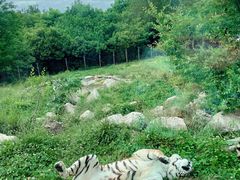 -西安秦岭野生动物园