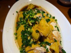 葱油竹林鸡-魏铭鱼头捞饭(晋阳路店)