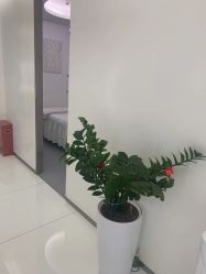 -agge蛋白医美