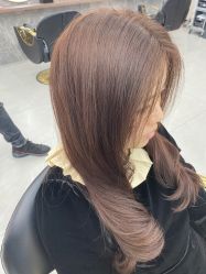 -世田造型