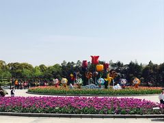 -上海鲜花港