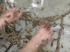 -湖泉半山温泉(湖泉生态园)