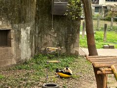 -重庆动物园·东二门售票处