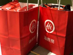 -海底捞火锅(公益西桥店)