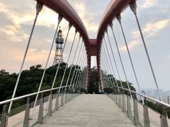-金鸡山公园